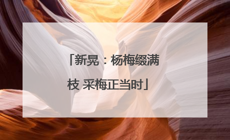 新晃：杨梅缀满枝 采梅正当时