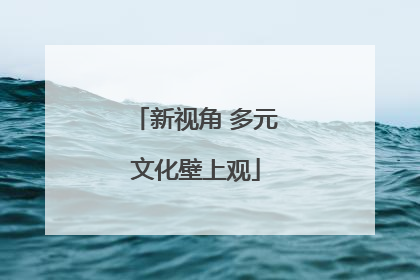 新视角 多元文化壁上观