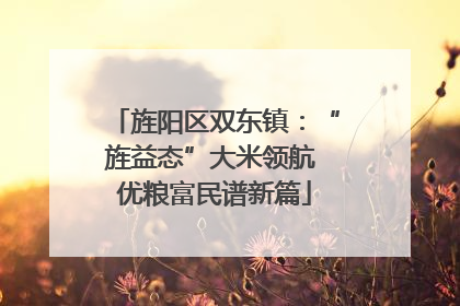 旌阳区双东镇：“旌益态”大米领航 优粮富民谱新篇