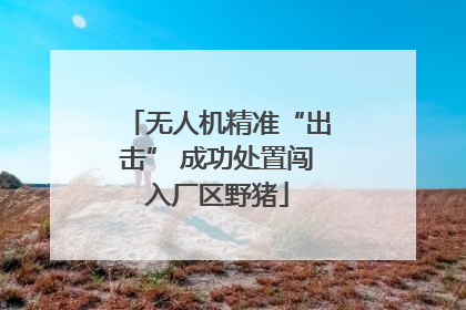 无人机精准“出击” 成功处置闯入厂区野猪