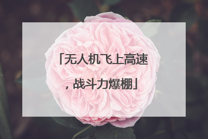 无人机飞上高速，战斗力爆棚