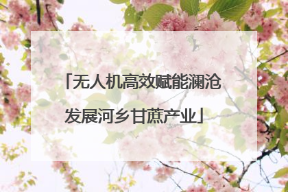 无人机高效赋能澜沧发展河乡甘蔗产业