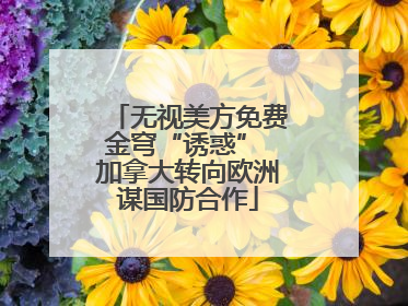 无视美方免费金穹“诱惑” 加拿大转向欧洲谋国防合作