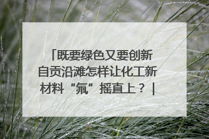 既要绿色又要创新 自贡沿滩怎样让化工新材料“氟”摇直上？｜美好生活有“盐”味