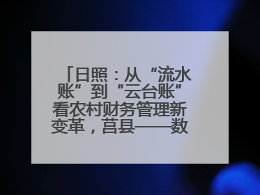 日照：从“流水账”到“云台账”看农村财务管理新变革，莒县——数字赋能激活乡村振兴“一池春水”