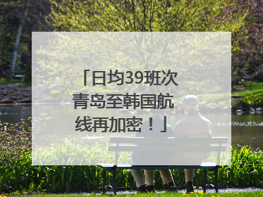 日均39班次 青岛至韩国航线再加密！