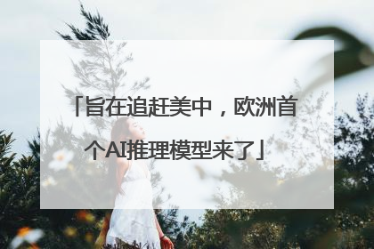 旨在追赶美中，欧洲首个AI推理模型来了