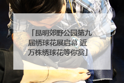 昆明郊野公园第九届绣球花展启幕 近万株绣球花等你赏
