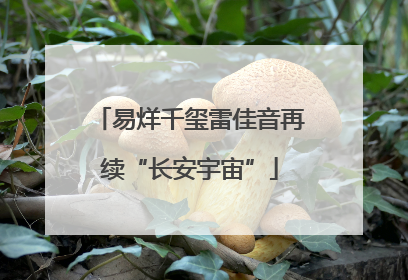 易烊千玺雷佳音再续“长安宇宙”
