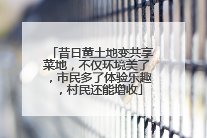 昔日黄土地变共享菜地，不仅环境美了，市民多了体验乐趣，村民还能增收