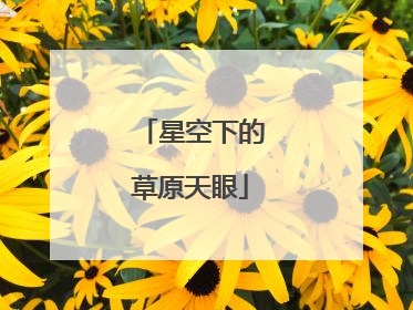 星空下的草原天眼