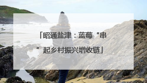 昭通盐津：蓝莓“串”起乡村振兴增收链