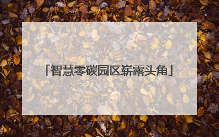 智慧零碳园区崭露头角