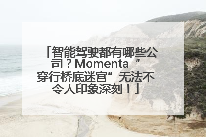 智能驾驶都有哪些公司？Momenta“穿行桥底迷宫”无法不令人印象深刻！