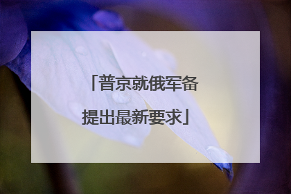普京就俄军备提出最新要求