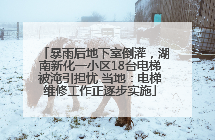 暴雨后地下室倒灌，湖南新化一小区18台电梯被淹引担忧 当地：电梯维修工作正逐步实施