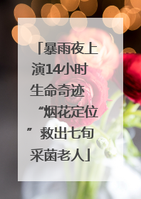 暴雨夜上演14小时生命奇迹 “烟花定位”救出七旬采菌老人