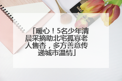 暖心！5名少年清晨采摘助北宅孤寡老人售杏，多方善意传递城市温情