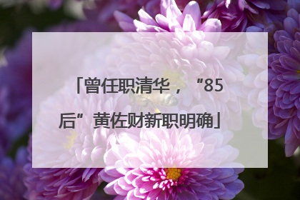 曾任职清华，“85后”黄佐财新职明确