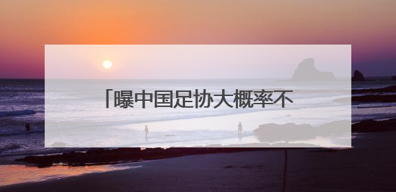 曝中国足协大概率不会与伊万科维奇续约