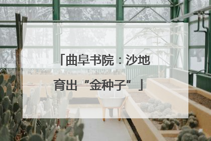 曲阜书院：沙地育出“金种子”