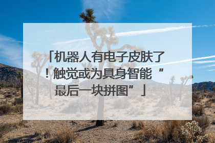 机器人有电子皮肤了！触觉或为具身智能“最后一块拼图”