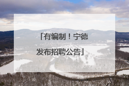 有编制！宁德发布招聘公告