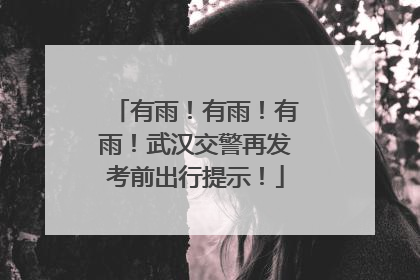 有雨！有雨！有雨！武汉交警再发考前出行提示！