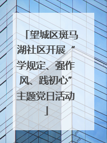 望城区斑马湖社区开展“学规定、强作风、践初心”主题党日活动
