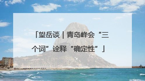 望岳谈｜青岛峰会“三个词”诠释“确定性”