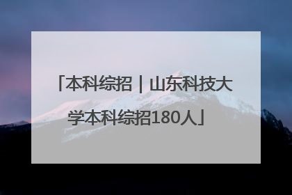 本科综招｜山东科技大学本科综招180人