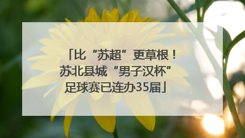 比“苏超”更草根！苏北县城“男子汉杯”足球赛已连办35届