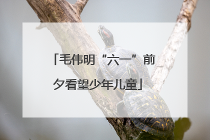 毛伟明“六一”前夕看望少年儿童