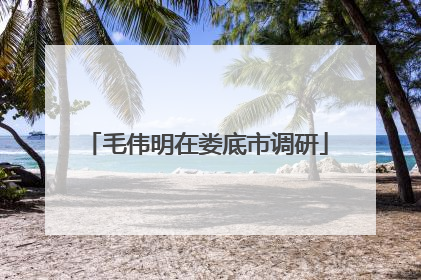 毛伟明在娄底市调研