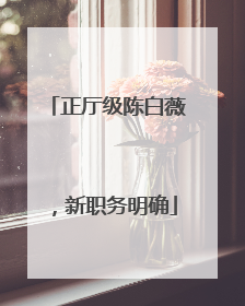 正厅级陈白薇，新职务明确