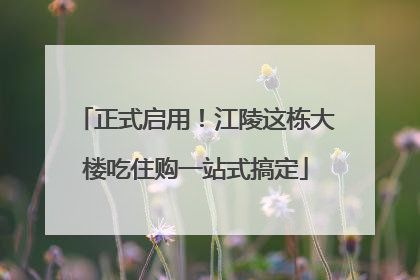 正式启用！江陵这栋大楼吃住购一站式搞定