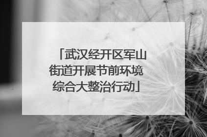武汉经开区军山街道开展节前环境综合大整治行动