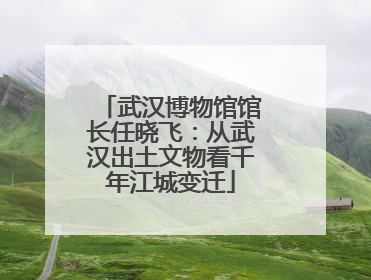 武汉博物馆馆长任晓飞：从武汉出土文物看千年江城变迁