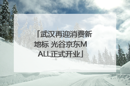 武汉再迎消费新地标 光谷京东MALL正式开业