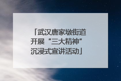 武汉唐家墩街道开展“三大精神”沉浸式宣讲活动