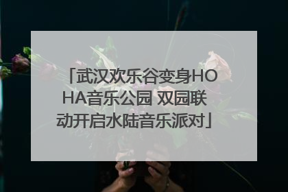 武汉欢乐谷变身HOHA音乐公园 双园联动开启水陆音乐派对