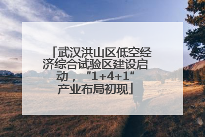 武汉洪山区低空经济综合试验区建设启动，“1+4+1”产业布局初现
