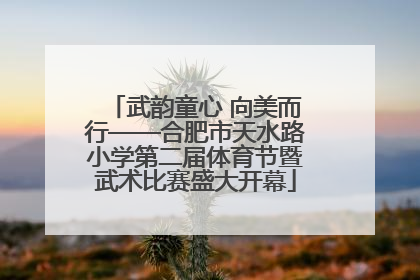 武韵童心 向美而行——合肥市天水路小学第二届体育节暨武术比赛盛大开幕