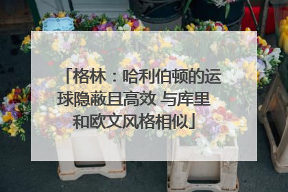 格林：哈利伯顿的运球隐蔽且高效 与库里和欧文风格相似