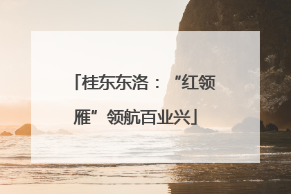 桂东东洛：“红领雁”领航百业兴