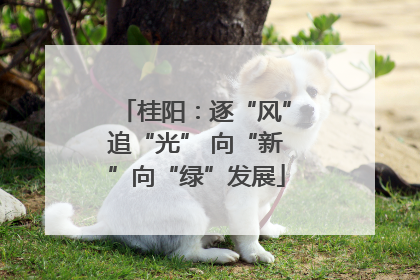 桂阳：逐“风”追“光” 向“新”向“绿”发展