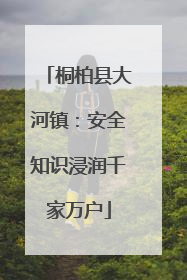 桐柏县大河镇：安全知识浸润千家万户
