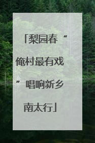 梨园春“俺村最有戏”唱响新乡南太行