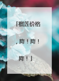 榴莲价格，降！降！降！