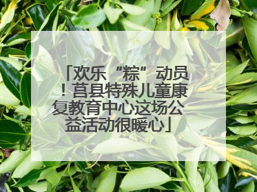 欢乐“粽”动员！莒县特殊儿童康复教育中心这场公益活动很暖心
